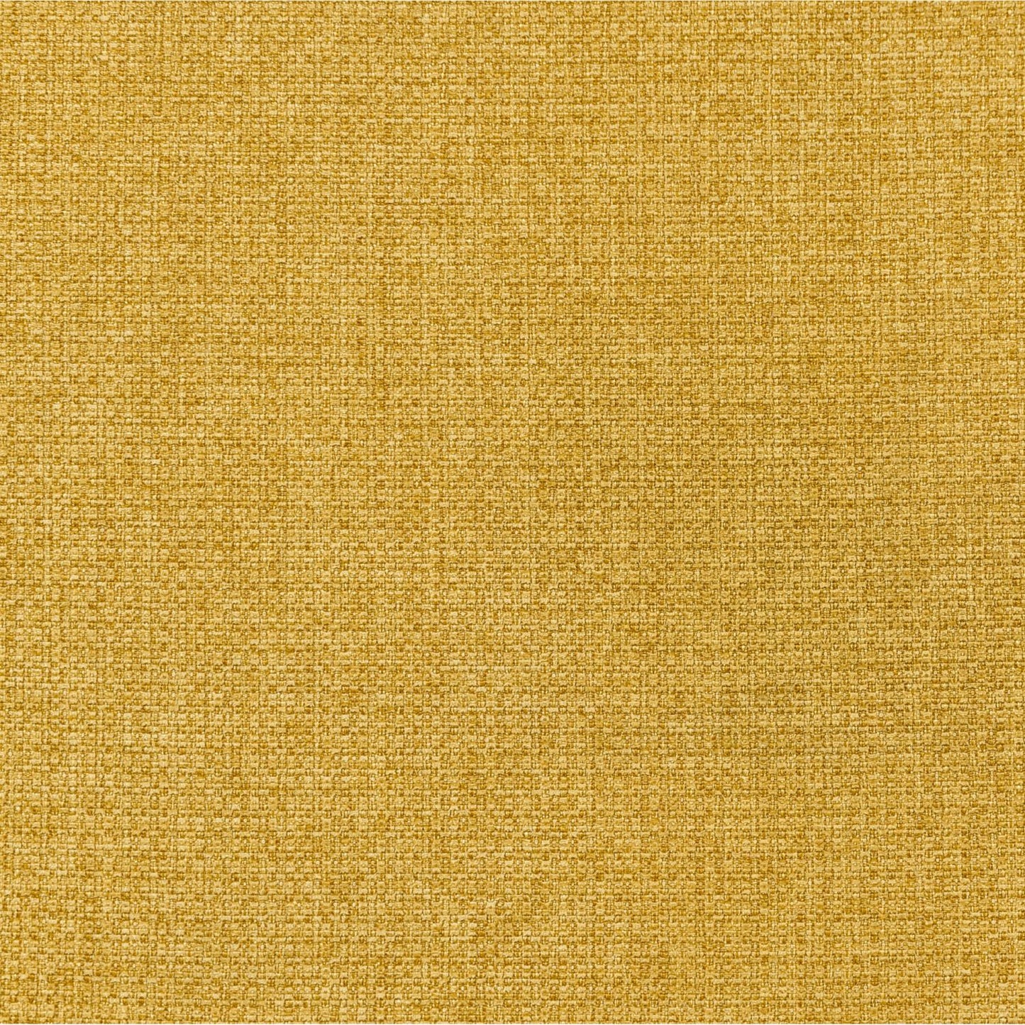 497763541