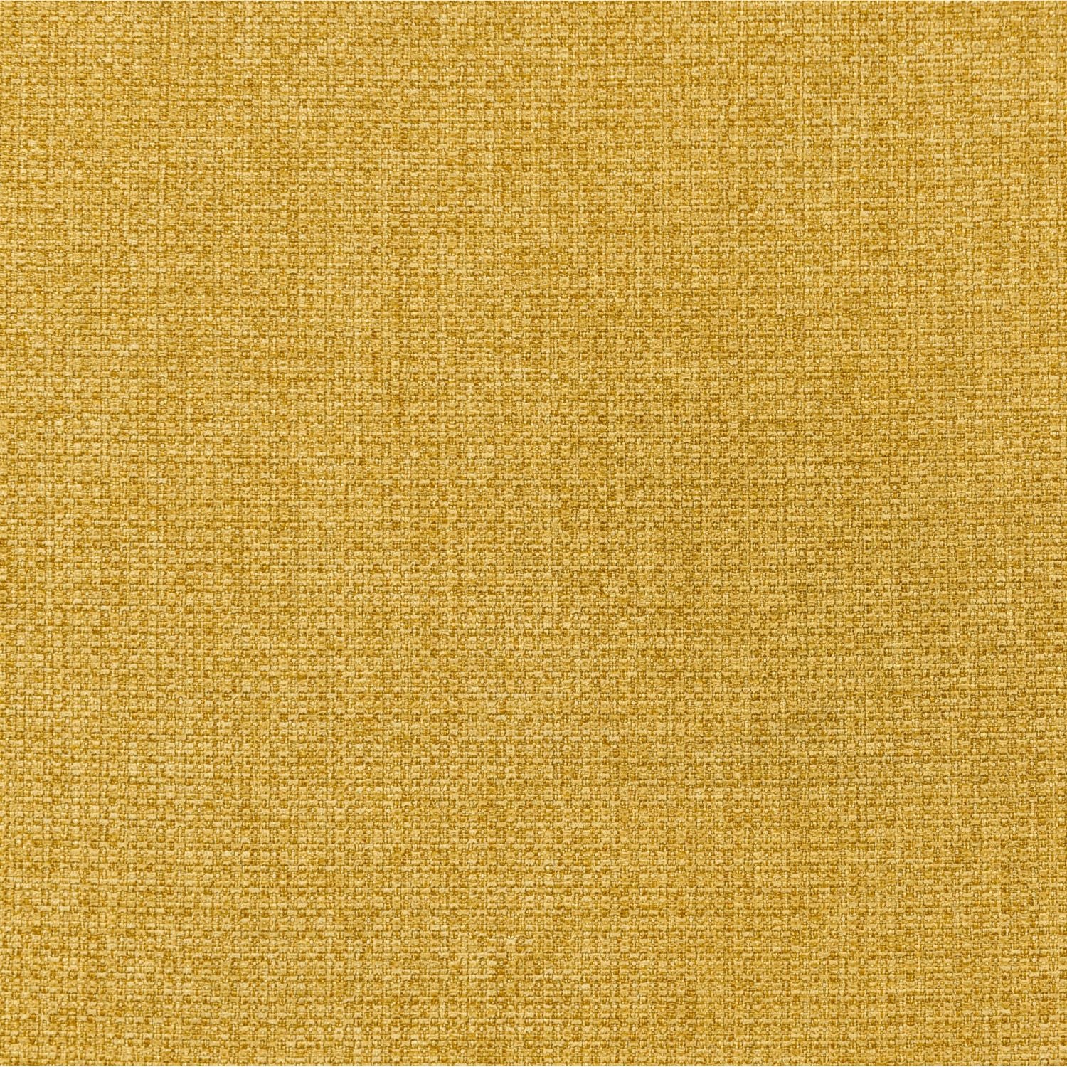497763541